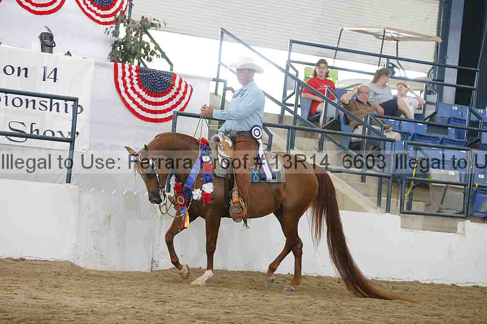 Proof 13r14_6603