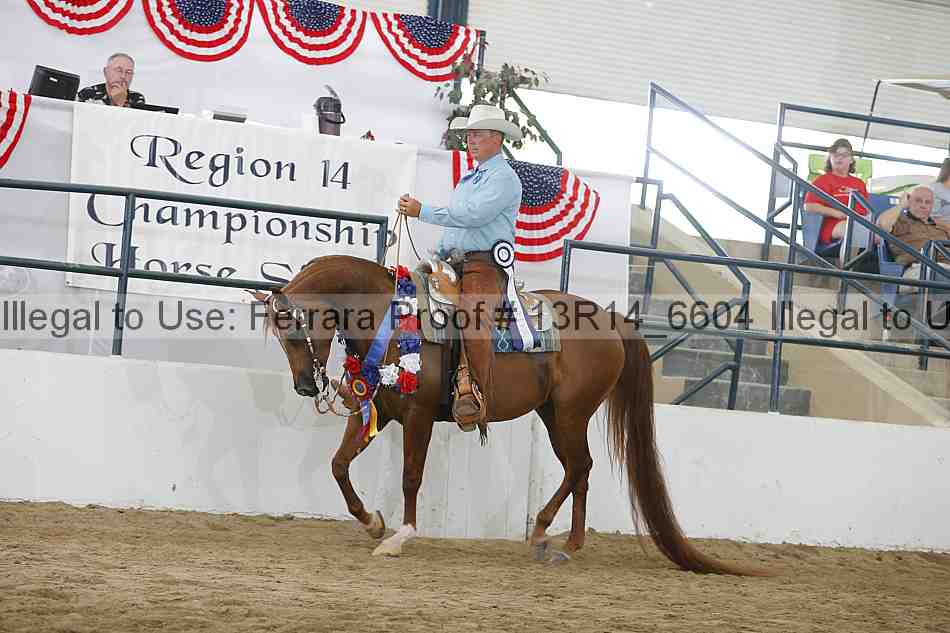 Proof 13r14_6604