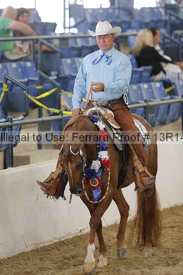 Proof 13r14_6610
