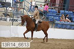 13r14_6613 proof