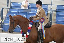 13r14_6623 proof