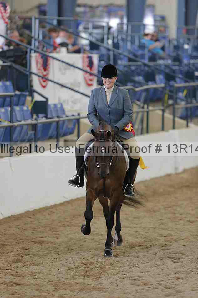 Proof 13r14_6629