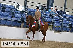 13r14_6631 proof