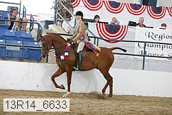 13r14_6633 proof