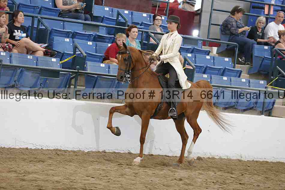 Proof 13r14_6641