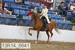 13r14_6641 proof
