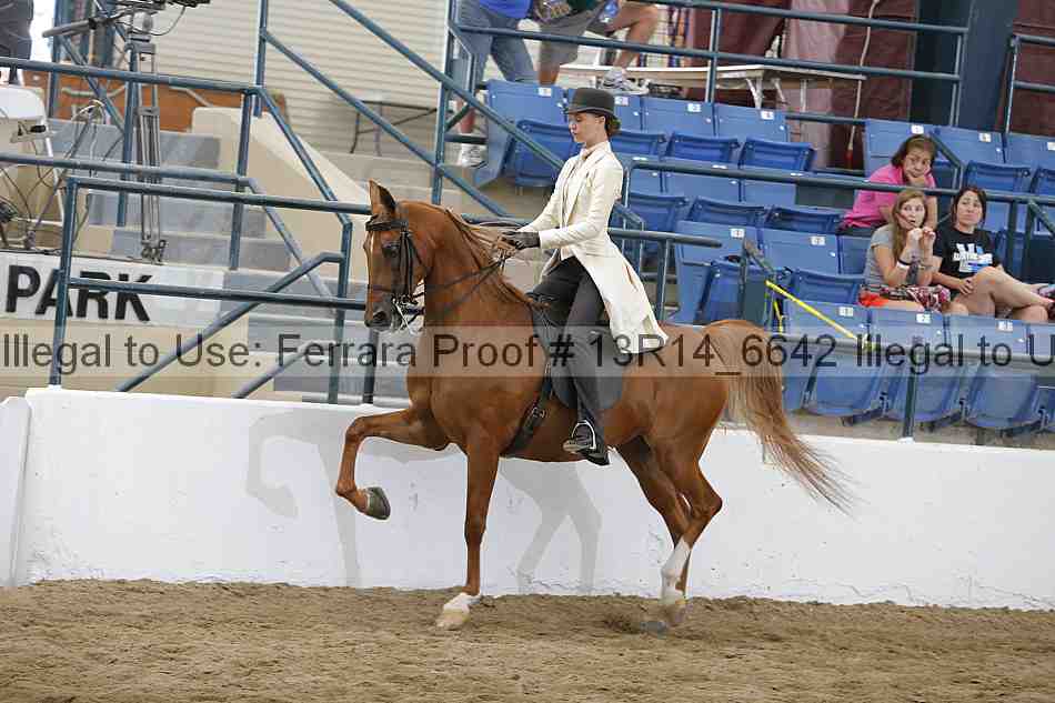 Proof 13r14_6642