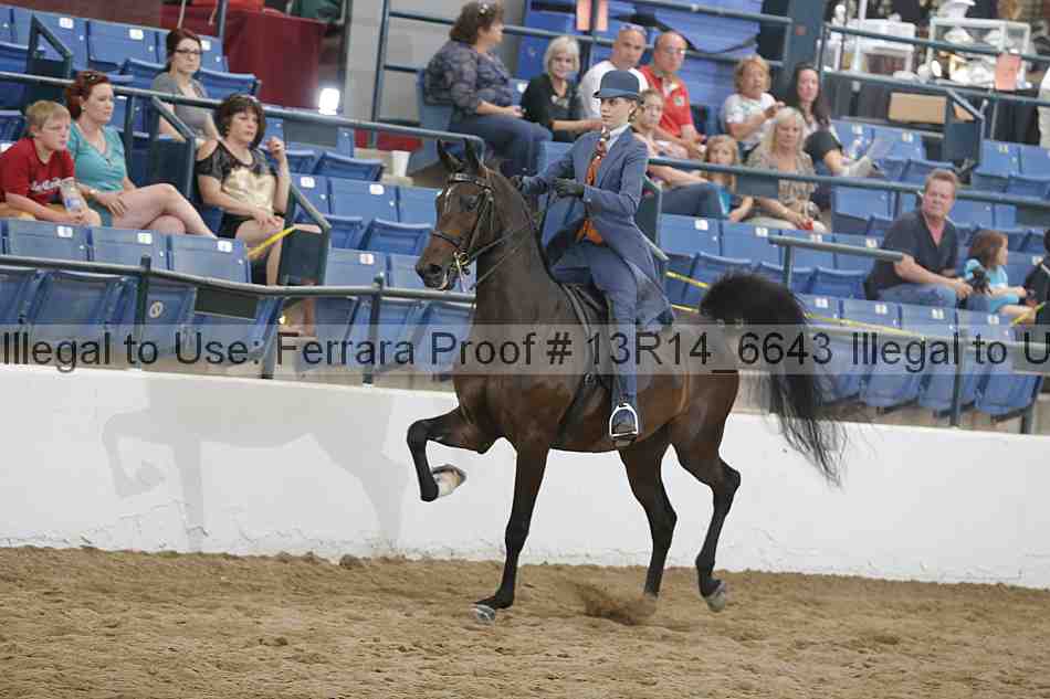 Proof 13r14_6643