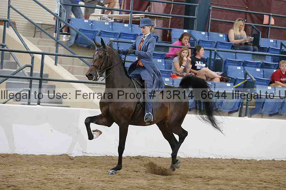 Proof 13r14_6644