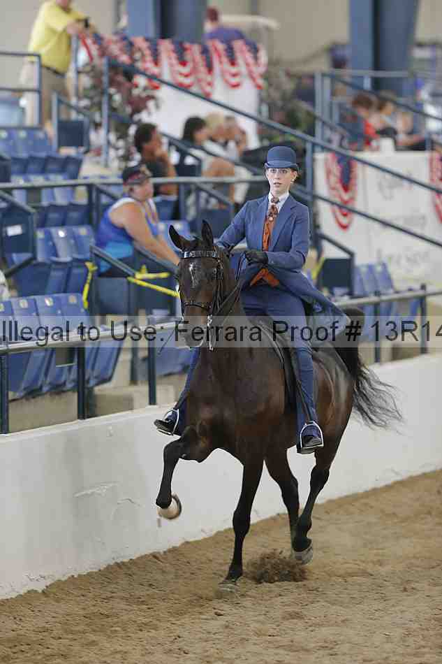 Proof 13r14_6646