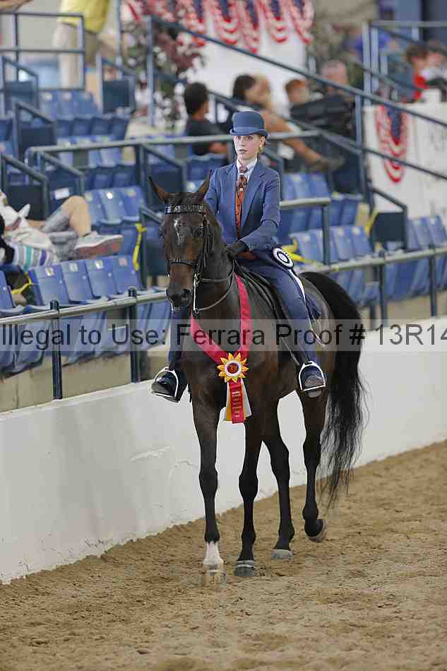Proof 13r14_6650