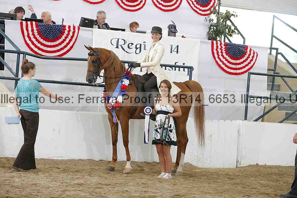 Proof 13r14_6653