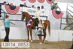 13r14_6653 proof