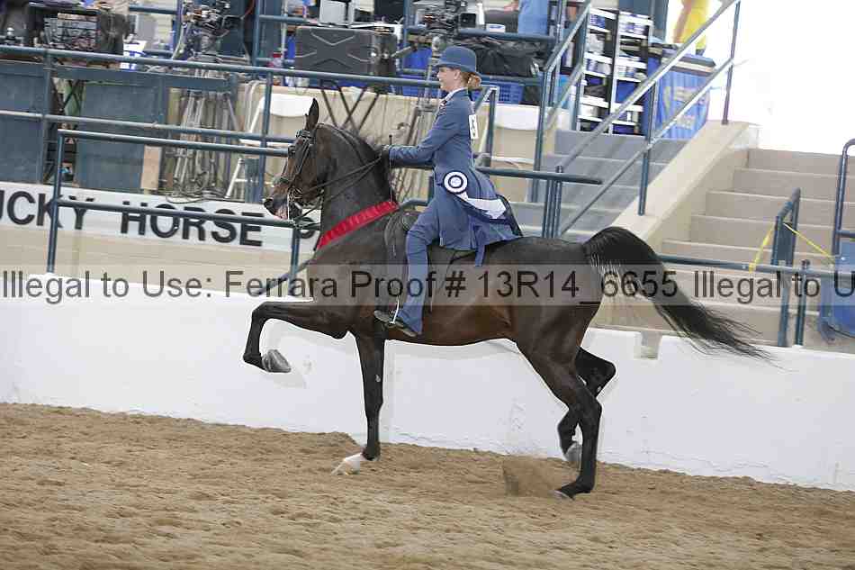 Proof 13r14_6655