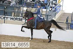 13r14_6655 proof