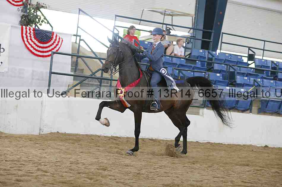Proof 13r14_6657