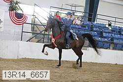 13r14_6657 proof