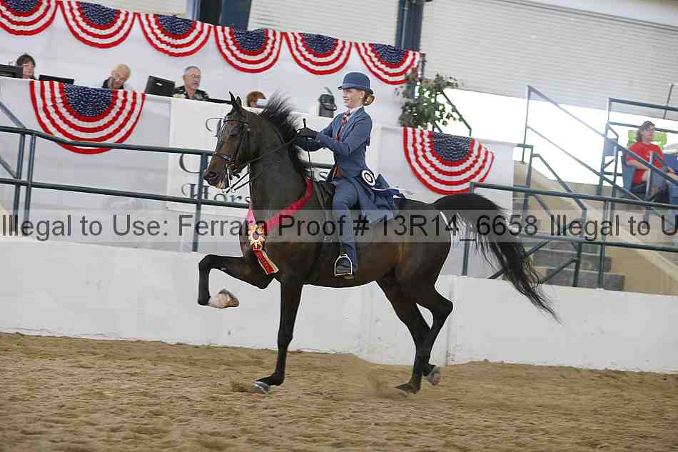 Proof 13r14_6658