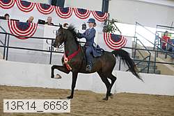 13r14_6658 proof