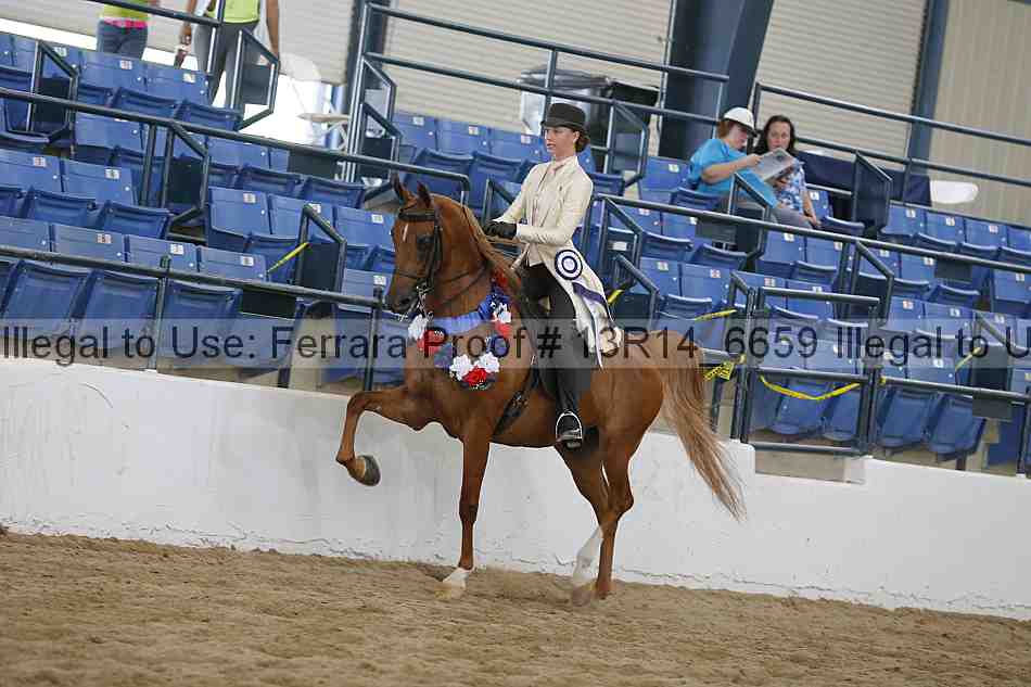 Proof 13r14_6659