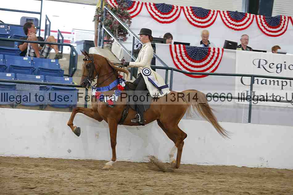 Proof 13r14_6660