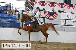 13r14_6660 proof