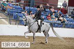 13r14_6664 proof