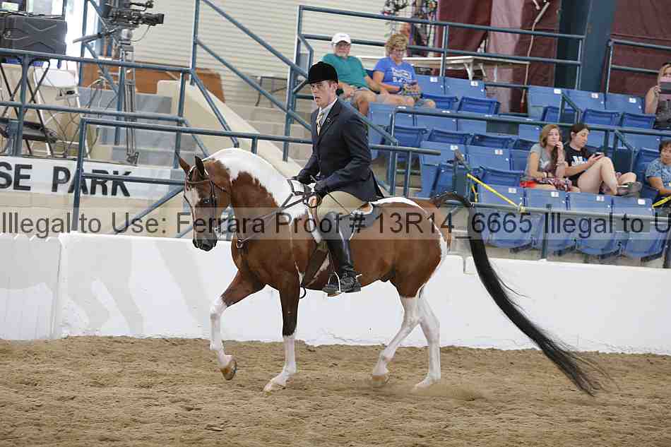 Proof 13r14_6665