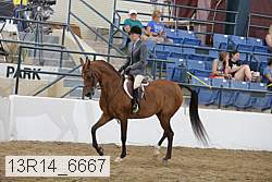 13r14_6667 proof
