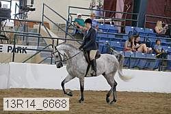 13r14_6668 proof