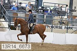 13r14_6673 proof