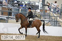 13r14_6677 proof