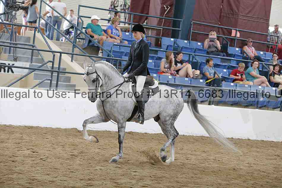 Proof 13r14_6683