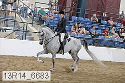 13r14_6683 proof