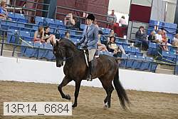 13r14_6684 proof