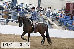 13r14_6685 proof