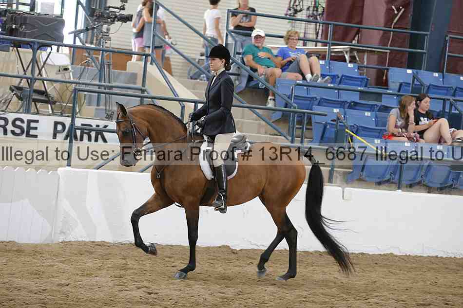 Proof 13r14_6687
