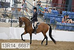 13r14_6687 proof