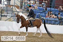 13r14_6688 proof
