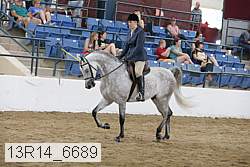 13r14_6689 proof