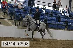 13r14_6698 proof
