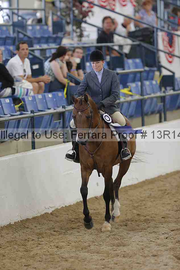 Proof 13r14_6699