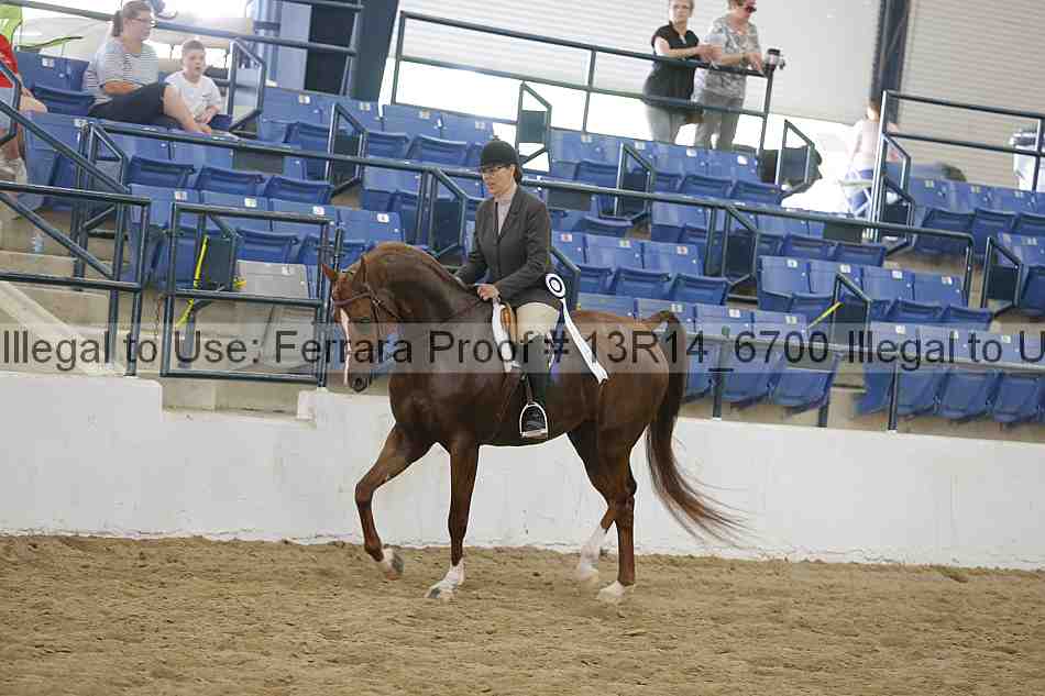 Proof 13r14_6700