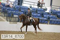 13r14_6700 proof