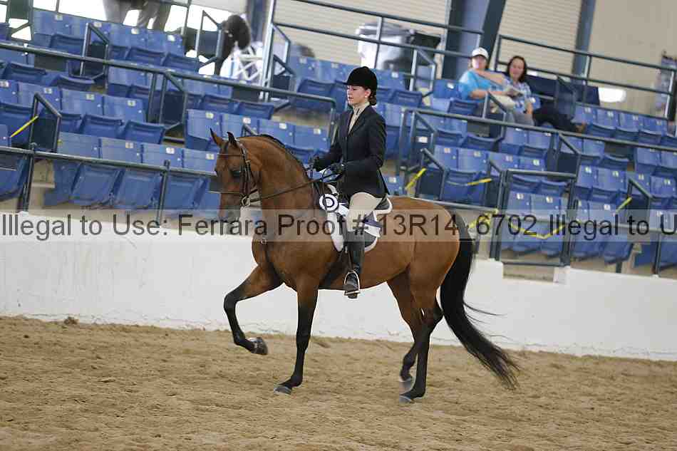 Proof 13r14_6702
