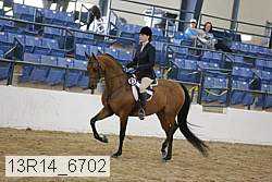 13r14_6702 proof