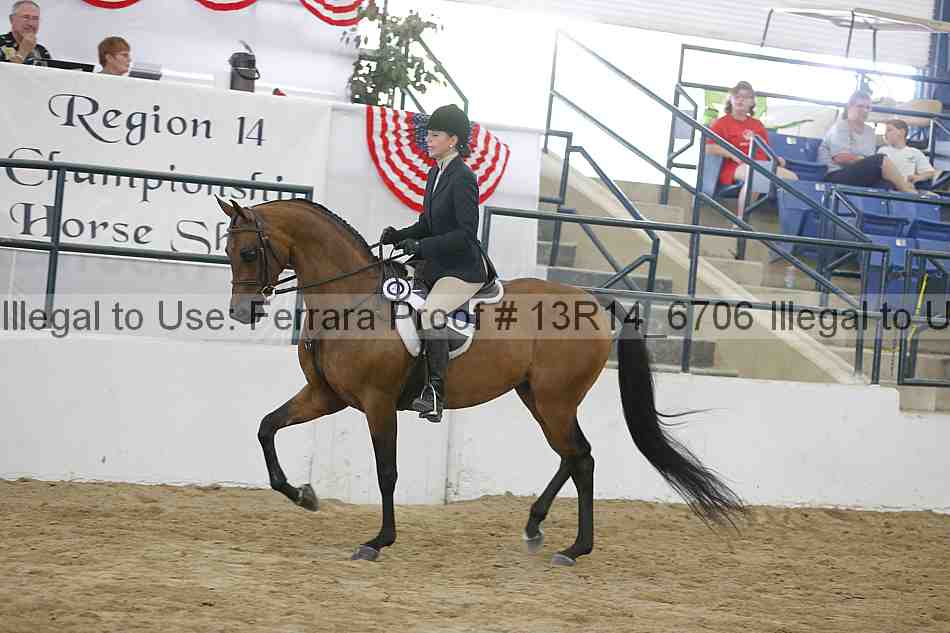 Proof 13r14_6706