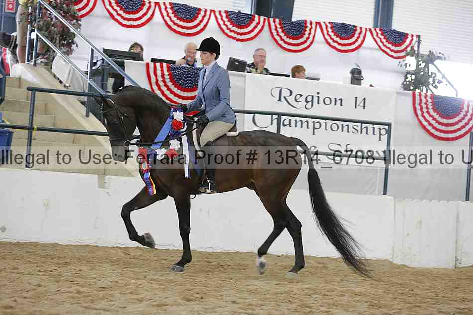 Proof 13r14_6708