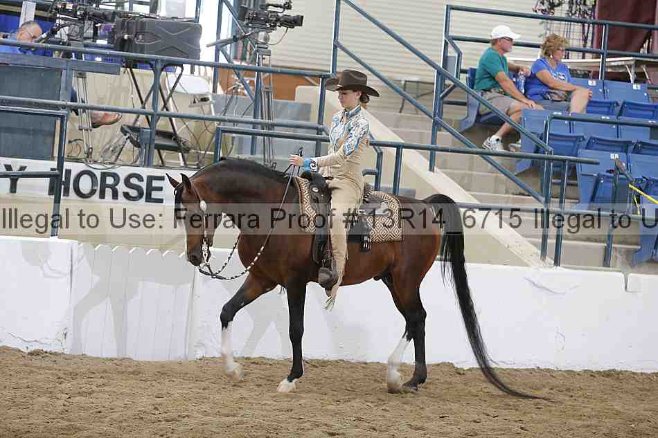 Proof 13r14_6715