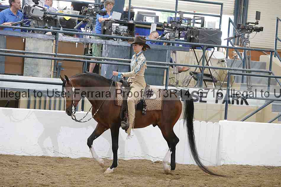 Proof 13r14_6716